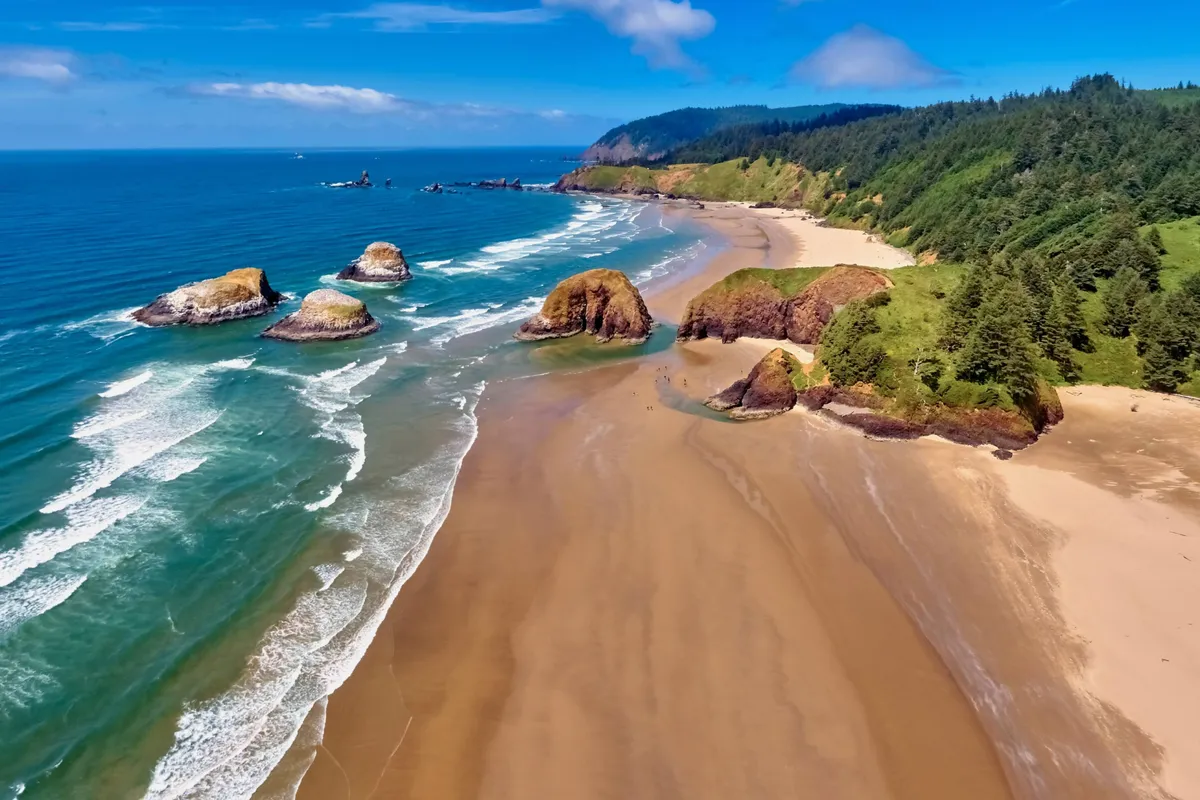 A sweeping view of a wide sandy beach bordered by lush green dunes and rocky outcrops, with gentle waves rolling in from the ocean. The expansive shoreline is perfect for long walks, games of fetch, and exploring tide pools, all with a backdrop of tranquil coastal scenery.