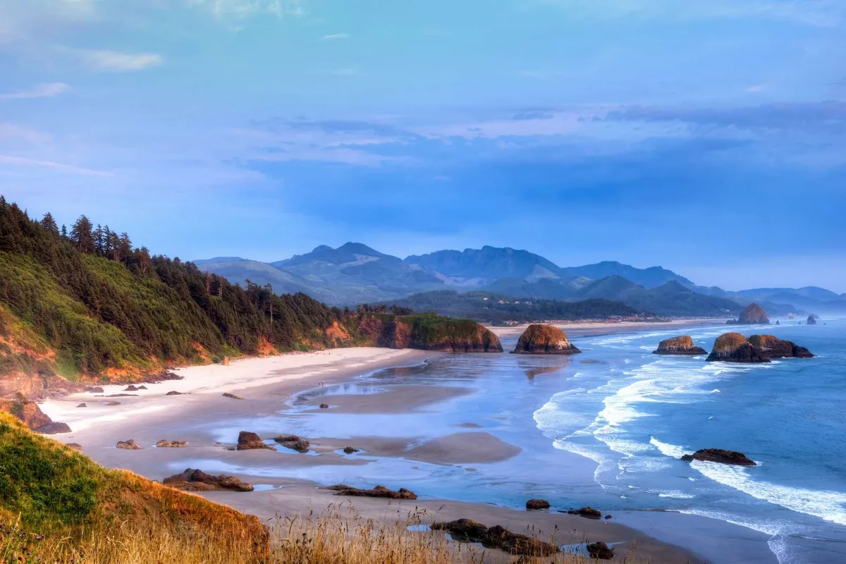 A breathtaking view of the beach with rocky formations, rolling ocean waves, and misty mountains in the background. The expansive natural scene captures the spirit of coastal exploration and wildlife observation, echoing the activities and scenery available nearby.